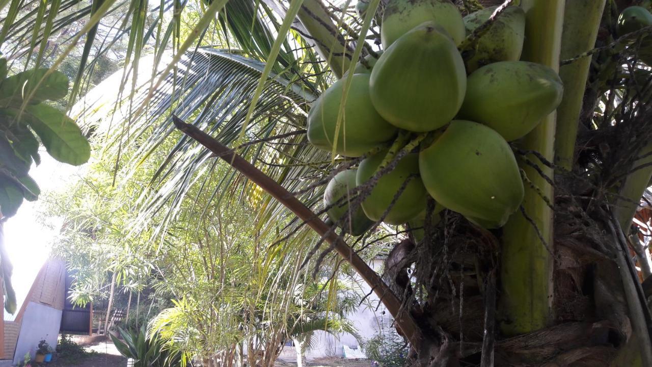 Nusha Homestay Pai Esterno foto