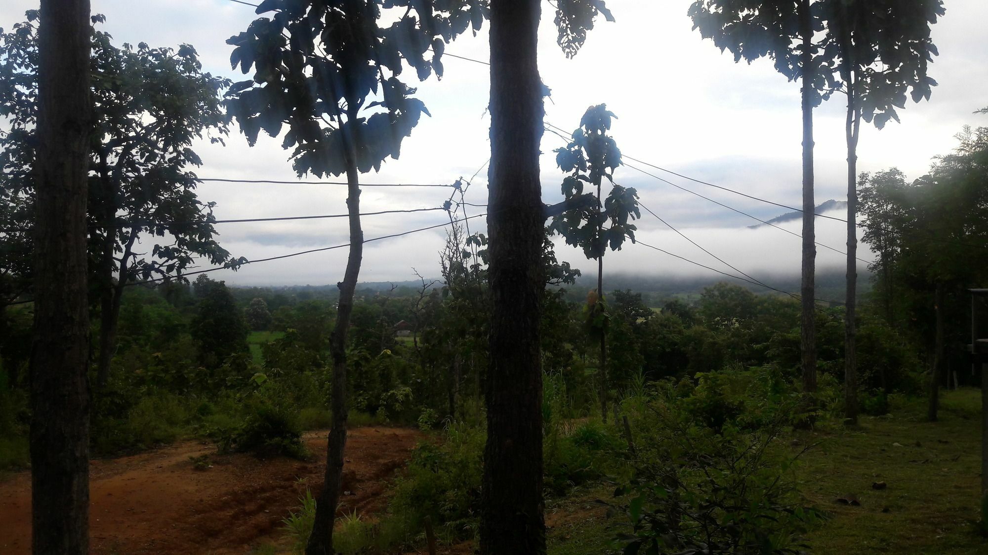 Nusha Homestay Pai Esterno foto