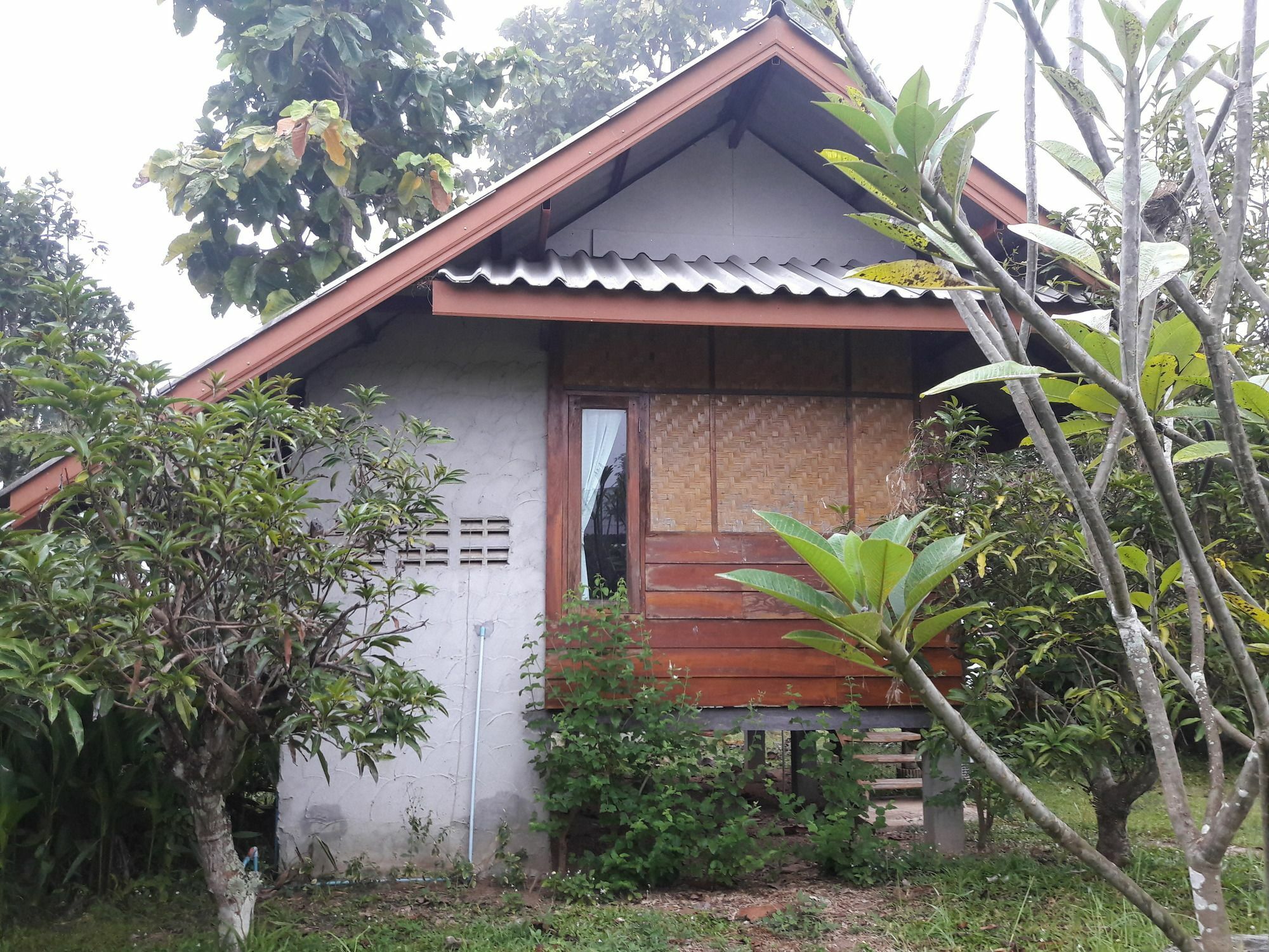 Nusha Homestay Pai Esterno foto