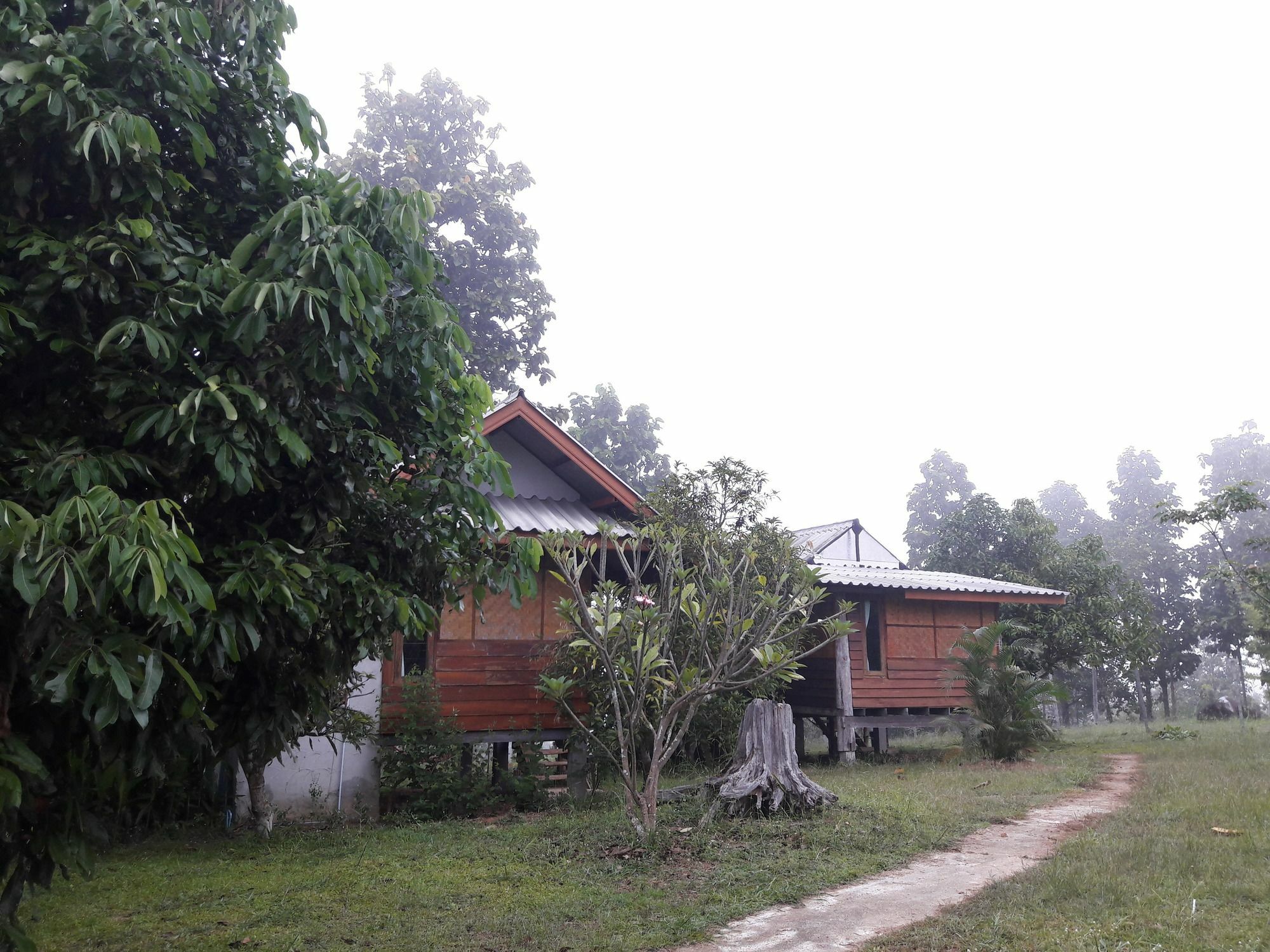 Nusha Homestay Pai Esterno foto
