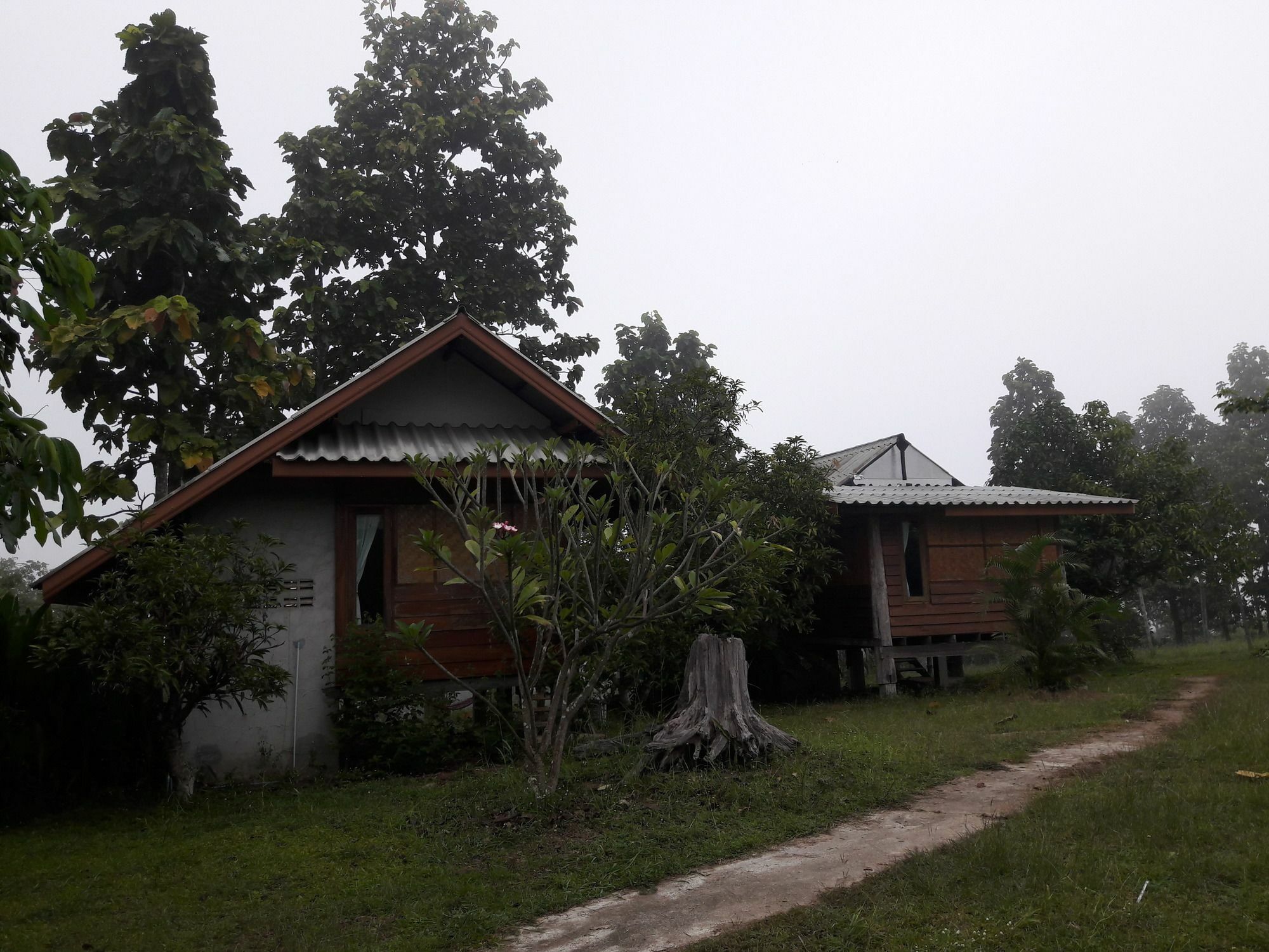 Nusha Homestay Pai Esterno foto