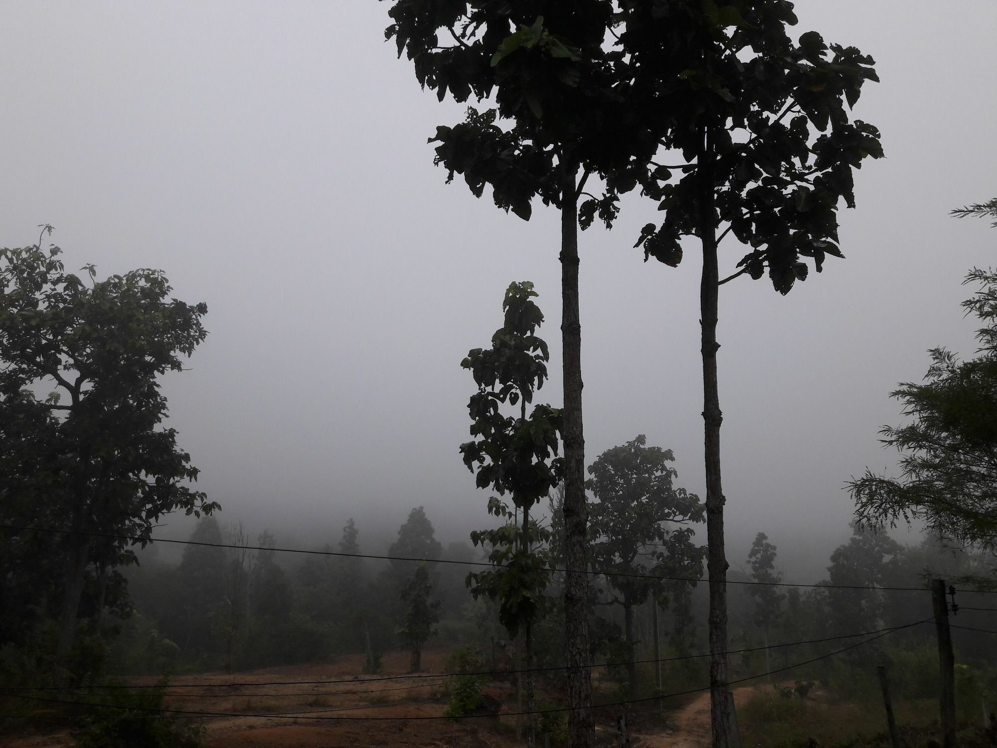 Nusha Homestay Pai Esterno foto