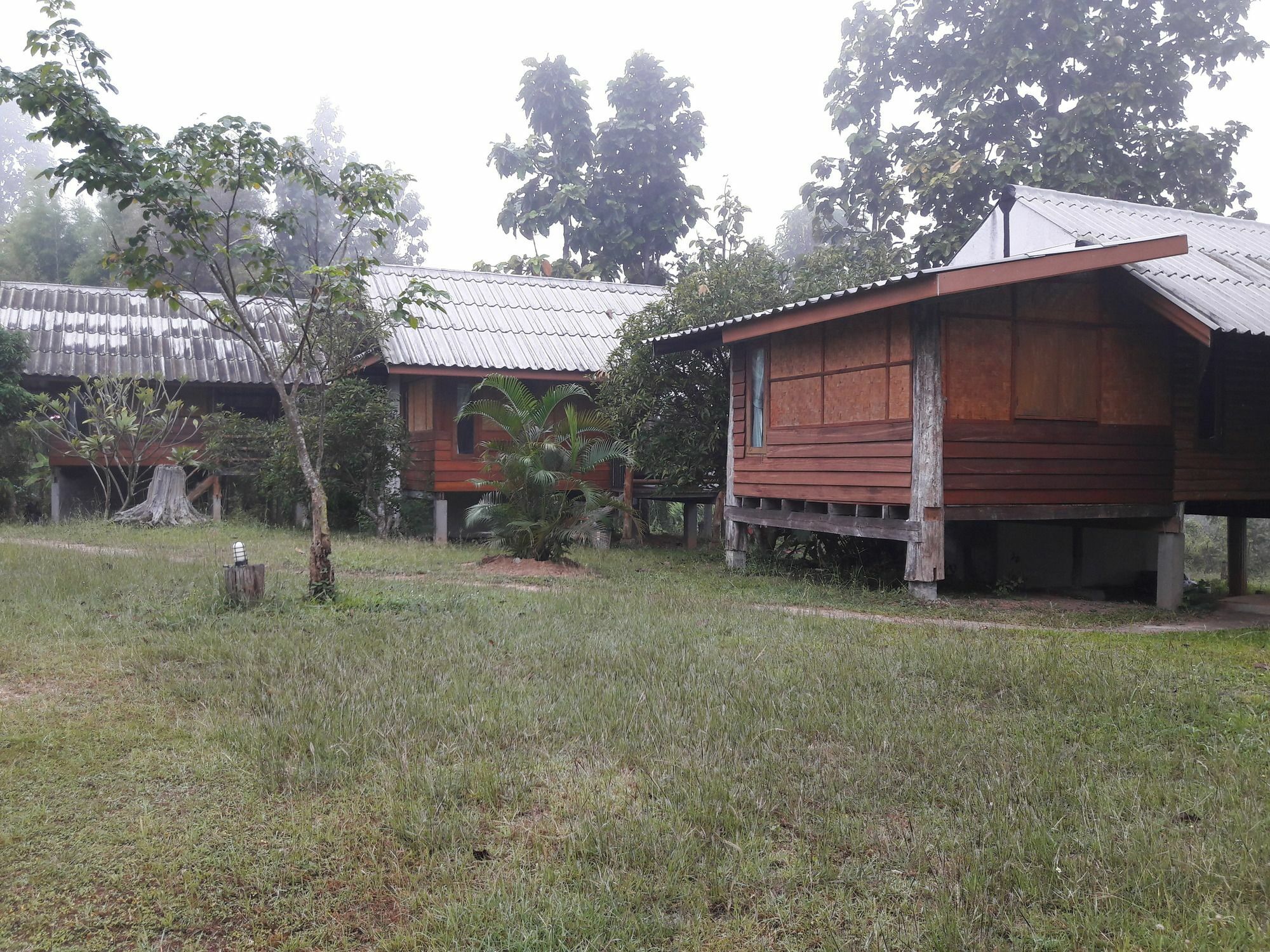 Nusha Homestay Pai Esterno foto